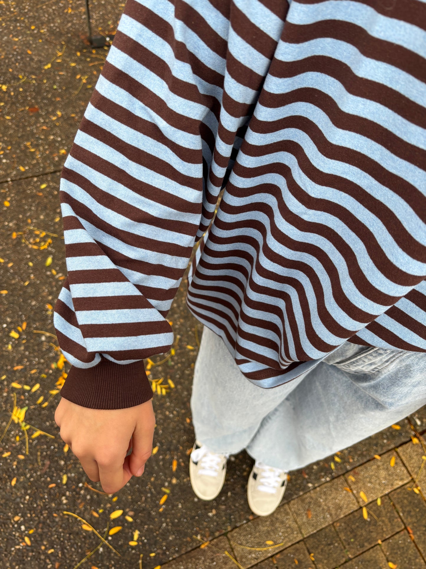 Sammy sweater - bruin/lichtblauw