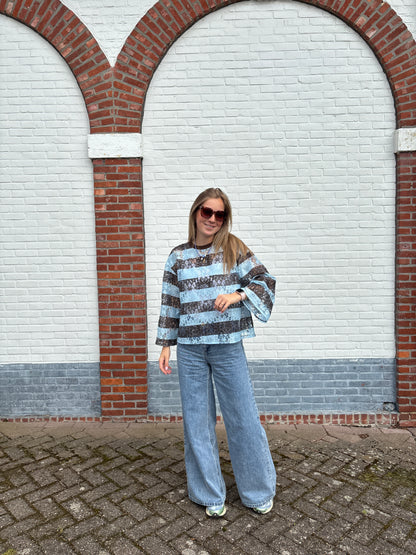 Kate truitje - bruin/lichtblauw